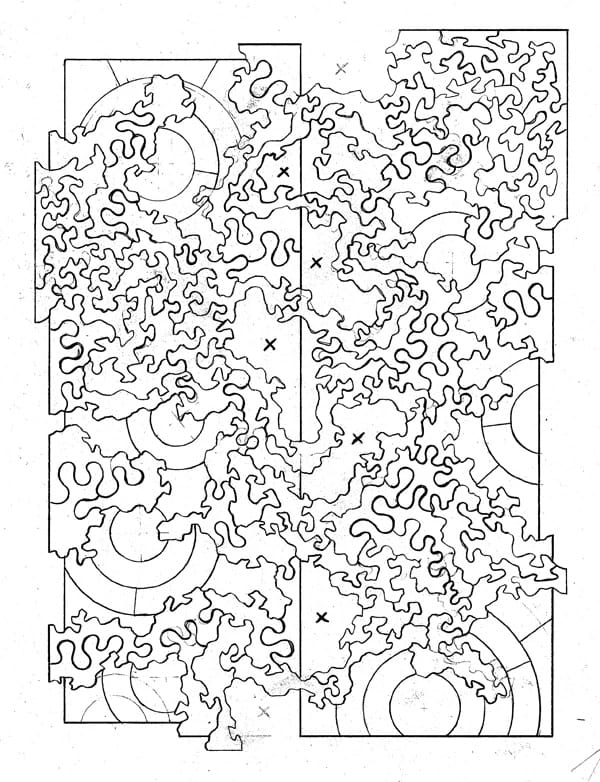 A black-and-white sketch of the "Cartographic Divide" puzzle showing many squiggly lines atop a repeating bullseye pattern