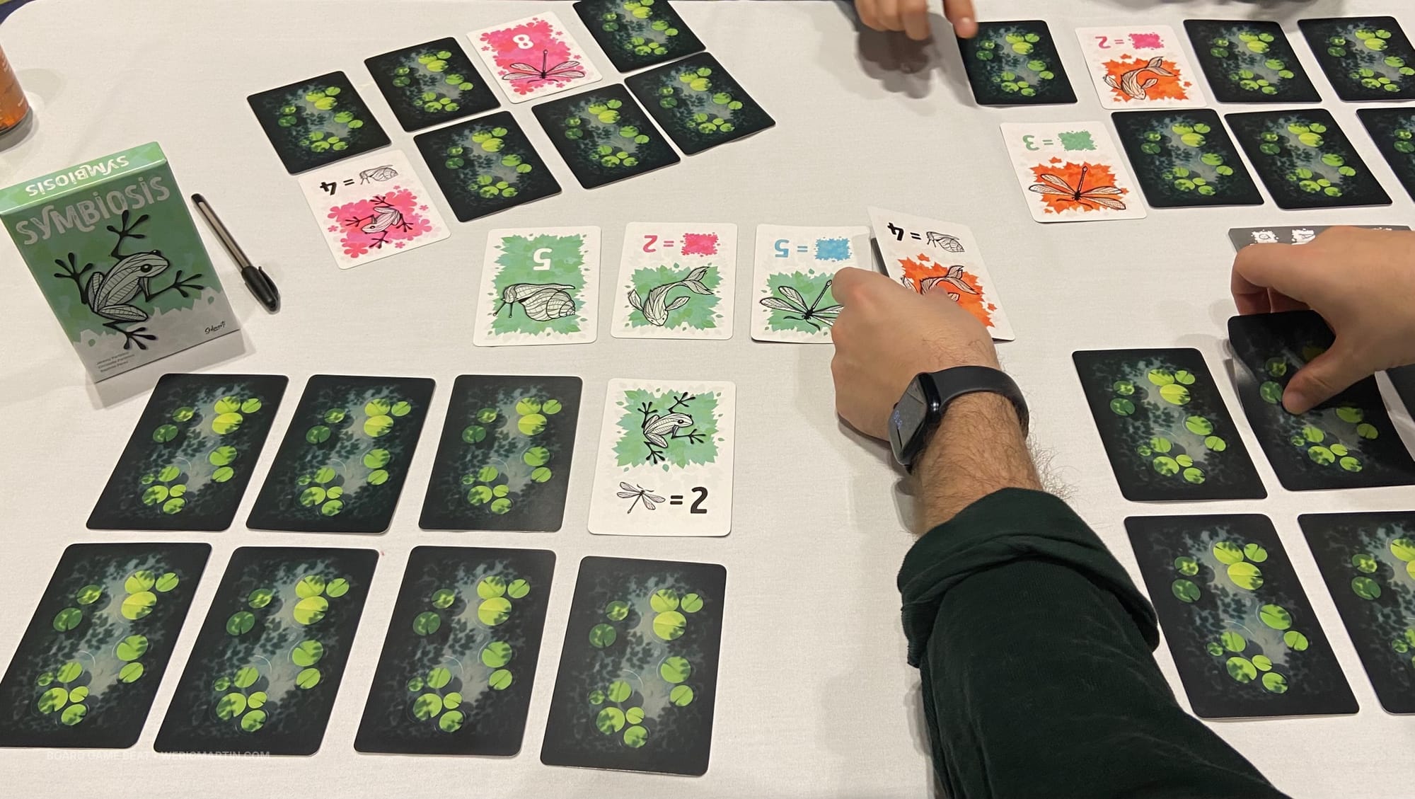 Each player has a 2x4 layout of cards, with one card face up; four cards lie in the center of the table. Cards show a creature, one of four colors, and either a number or scoring condition