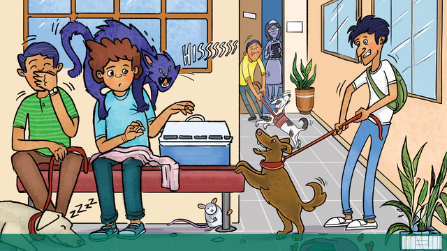 Navigate Your Way Through Furry Pawlitics